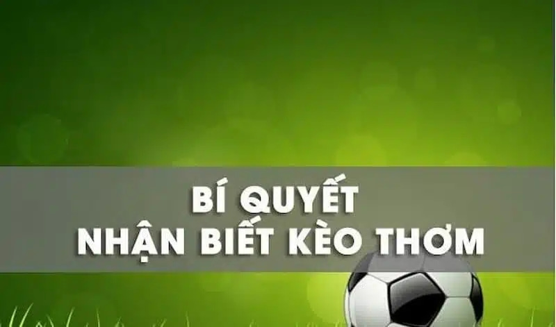 Bí quyết chọn đội nào cho hợp lý trận đấu